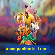 acompanhante trans em santos