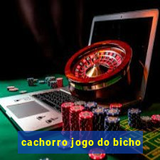 cachorro jogo do bicho