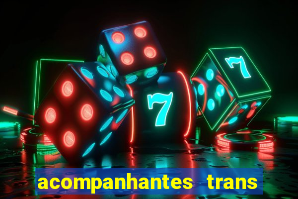 acompanhantes trans baixada fluminense