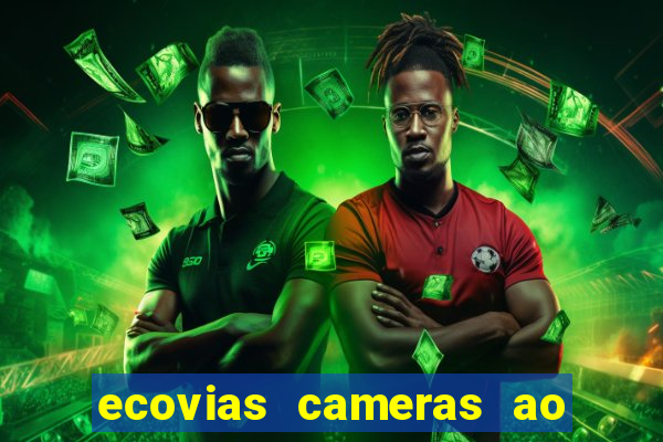 ecovias cameras ao vivo santos