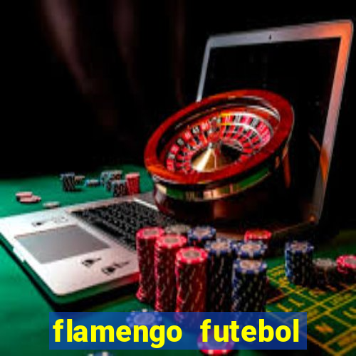 flamengo futebol play hd