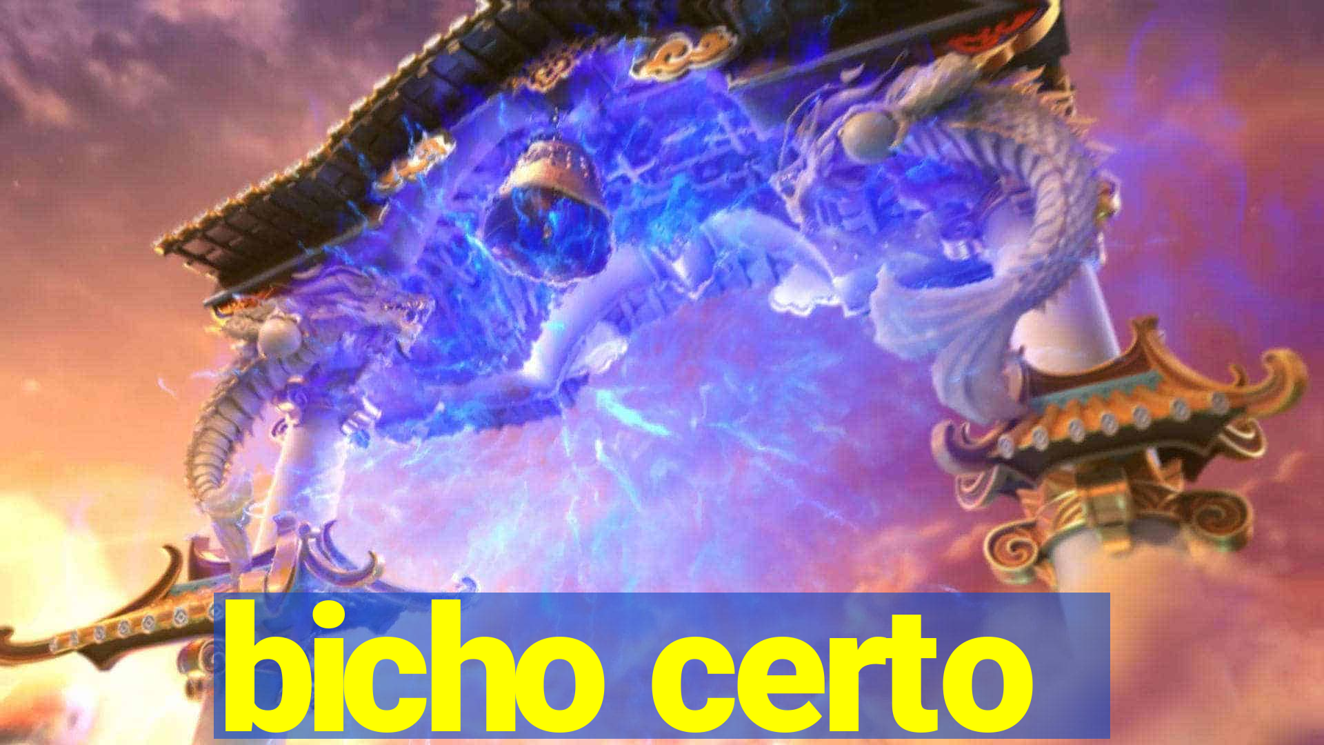 bicho certo