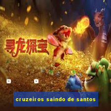 cruzeiros saindo de santos