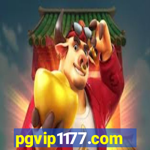 pgvip1177.com