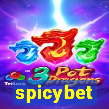 spicybet