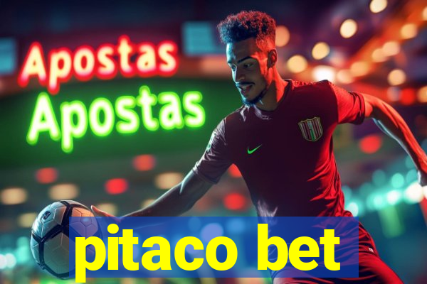 pitaco bet