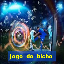 jogo do bicho tipos de apostas