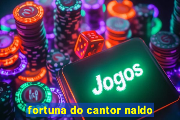 fortuna do cantor naldo